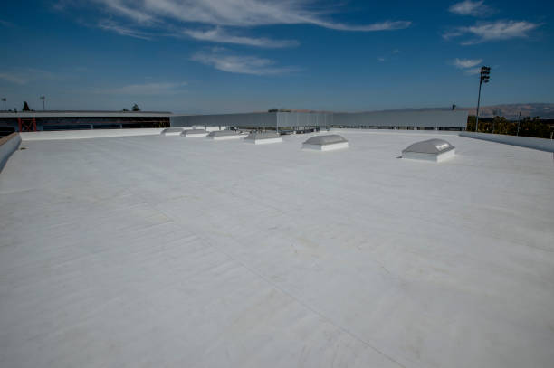 Best Metal Roofing Installation  in Pontoon Beach, IL