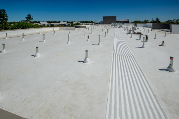 Best Roof Coating and Sealing  in Pontoon Beach, IL